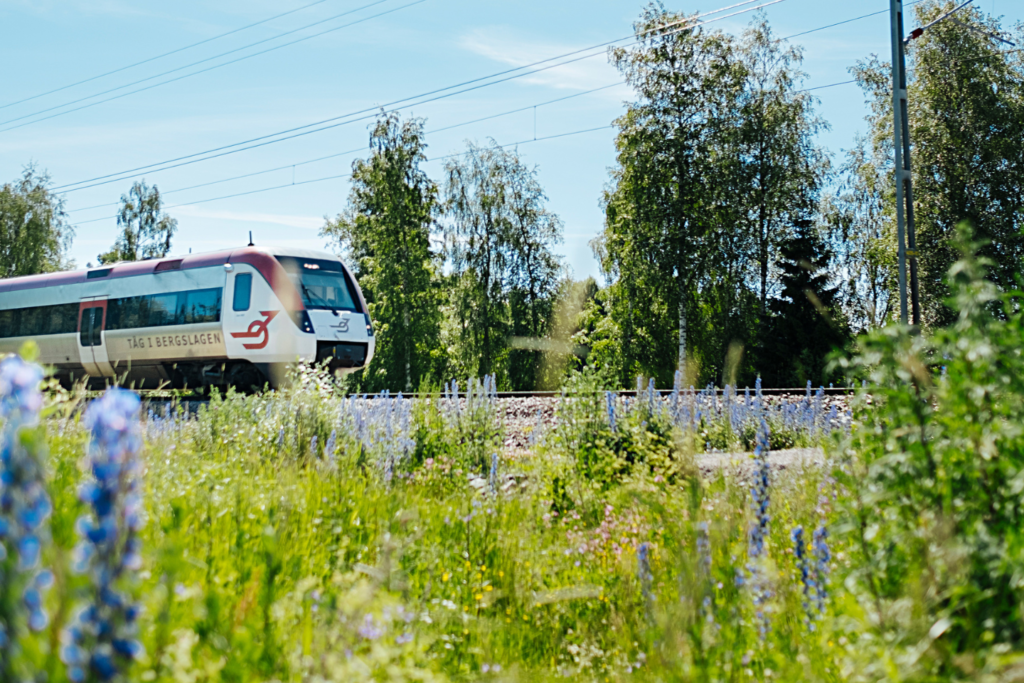 Regina i sommarlandskap